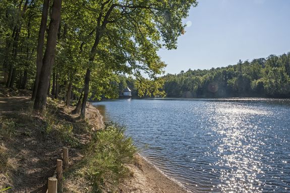 Itzenplitzer Weiher mit Waldrand