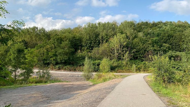 Blick auf dem asphaltierten Weg in Richtung Halde.
